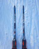 Меньшиков Вячеслав Александрович